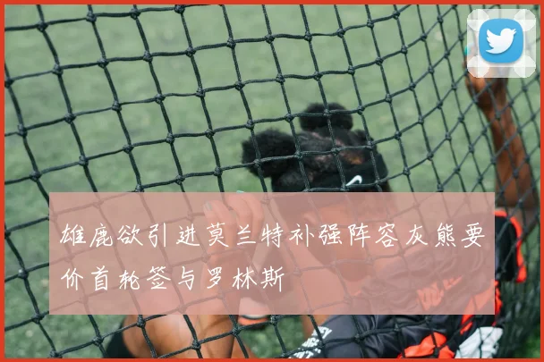 雄鹿欲引进莫兰特补强阵容灰熊要价首轮签与罗林斯