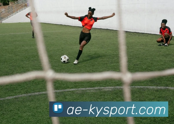 开云足球平台生态图